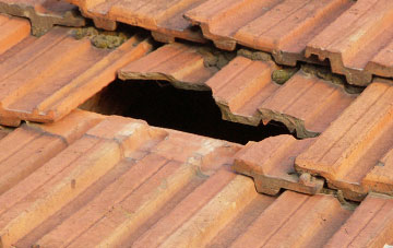 roof repair Gronwen, Shropshire